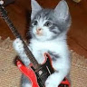 Meet your Posher, Anduena